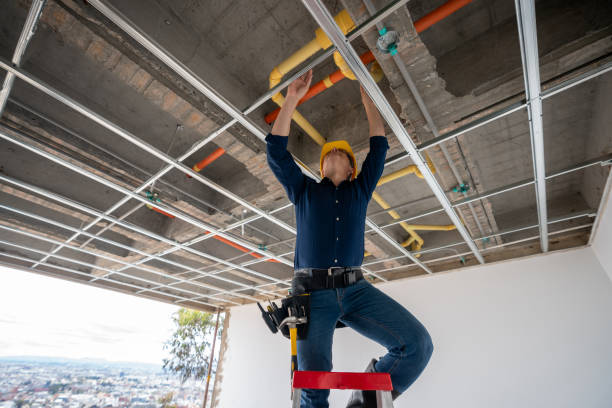 Best Plumbing Inspection Services  in Robersonville, NC